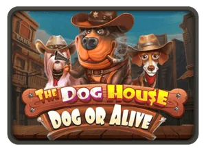 Слот The Dog House Dog or Alive в OsBet